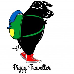 Piggy Traveller