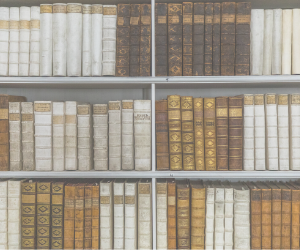 Sworn and Legal Translation Corner